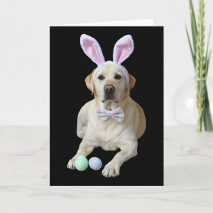 Gelber Lab Labrador Ostern Hund Hasenohren Eiersuc Karte
