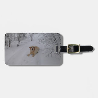 Gelber Labrador, der im frischen Winter-Schnee Gepäckanhänger