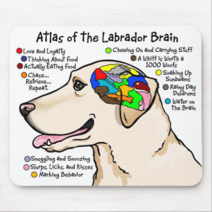 Gelber Labrador-Gehirn-Atlas Mousepad