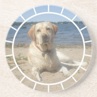 Gelber Labrador-Retriever-HundeUntersetzer Untersetzer