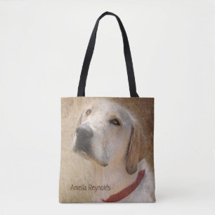 gelber Labrador Retriever im Portrait