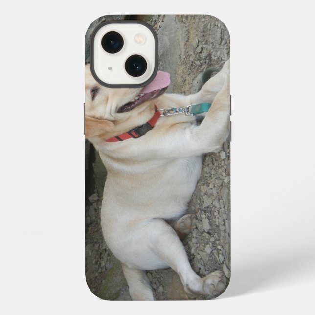 Gelber Labrador Retriever iPhone 8 Hülle iPhone 13 Hülle (Rückseite)