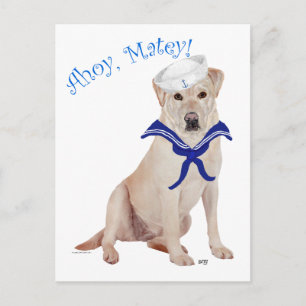 Gelber Labrador Retriever Matrose Postkarte