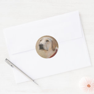 gelber Labrador Retriever Runder Aufkleber