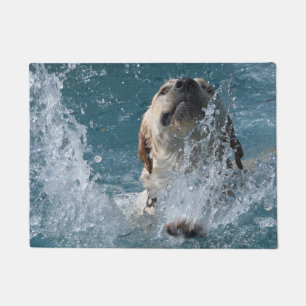 Gelber Labrador retriever-Spaß im Pool Fußmatte