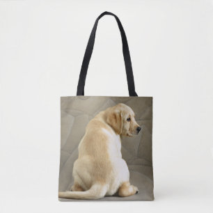 Gelber Labrador retriever-Welpe