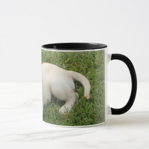 Gelber Labrador Tasse