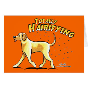 Gelber Labrador total Hairifying