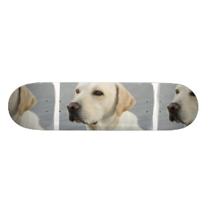 Gelber LabradorSkateboard Skateboard