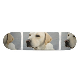 Gelber LabradorSkateboard Skateboard