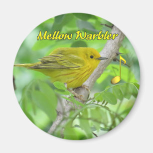 Gelber (Mellow) Warbler-Magnet Magnet
