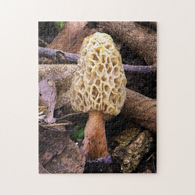 Gelber Morchel-Pilz Puzzle (Vertikal)