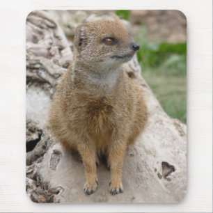 Gelber Mungo Mousepad