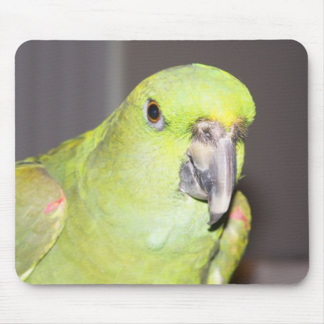 Gelber-Naped Amazonas-Papagei Mousepad (Vorne)