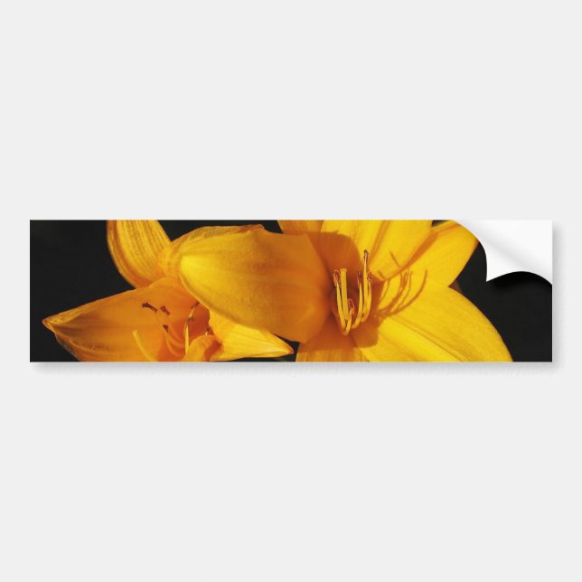 Gelber Orchid-Autoaufkleber Autoaufkleber (Vorne)
