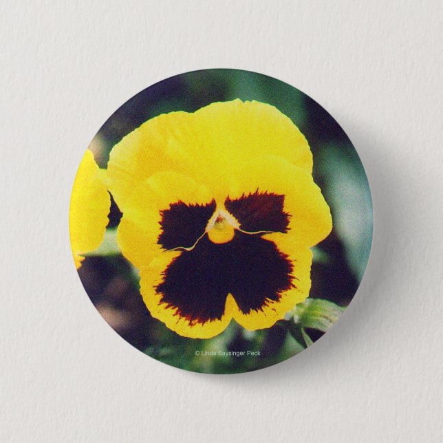 Gelber Pansy Button (Vorderseite)