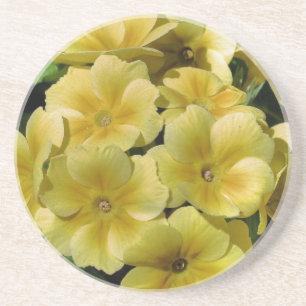 Gelber Primrose Untersetzer