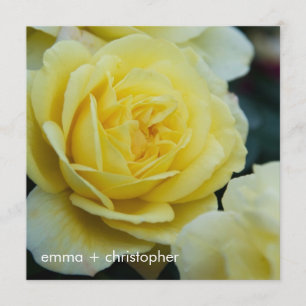 Gelber Rose DSC3677 Save The Date