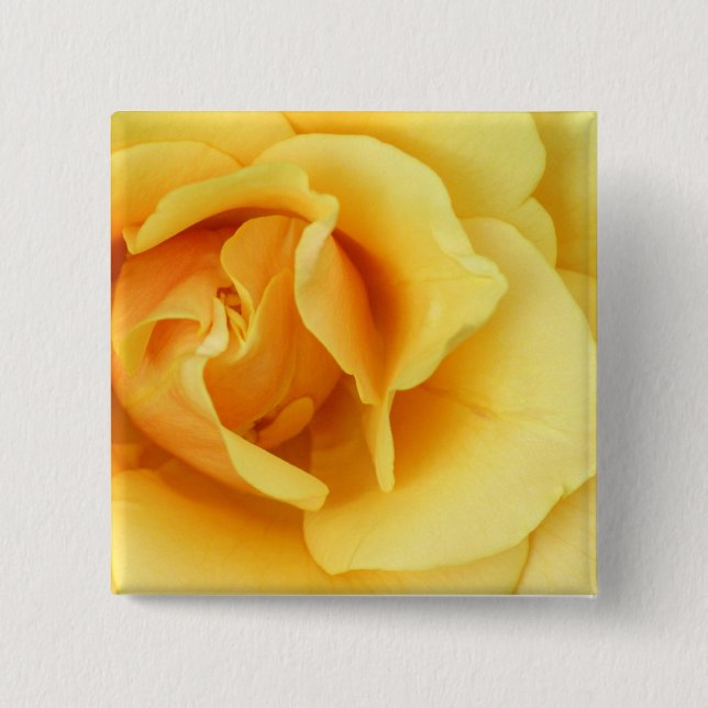 Gelber Rosen-Blüten-Quadrat-Knopf Button (Vorderseite)