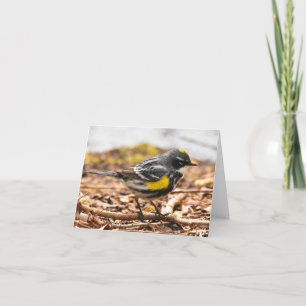 Gelber Rumped Warbler #1 - unbedruckte Note Card Dankeskarte