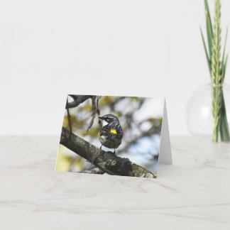 Gelber Rumped Warbler #3 - Blank Note Card Dankeskarte
