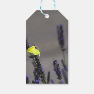 Gelber Schmetterling auf lila Lavendel Makrofoto Geschenkanhänger