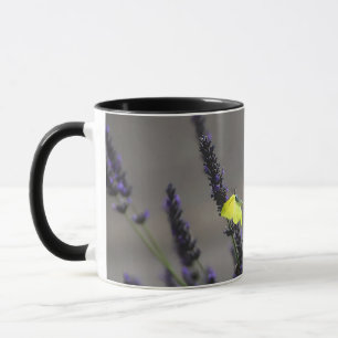 Gelber Schmetterling auf lila Lavendel Makrofoto Tasse