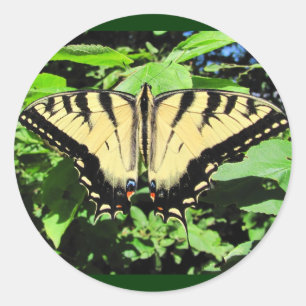 Gelber Schmetterling ~ Aufkleber