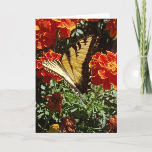 "Gelber Schmetterling" Gute Besserung Karte