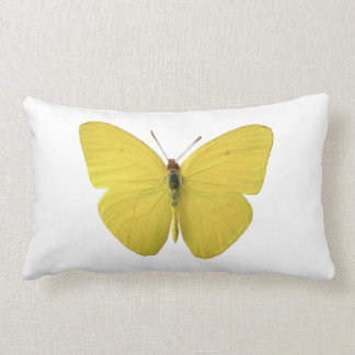 Gelber Schmetterling Kissen