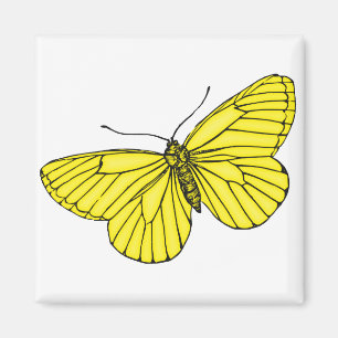 Gelber Schmetterling Magnet