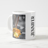 Gelber Schmetterling Orchid-Blume