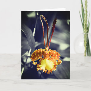 Gelber Schmetterling Orchid-Blume Karte