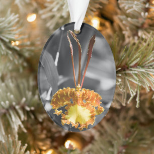 Gelber Schmetterling Orchid-Blume Ornament