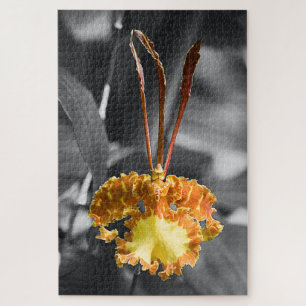 Gelber Schmetterling Orchid-Blume Puzzle