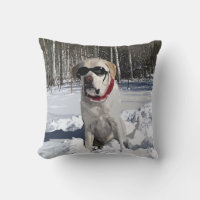 Gelber Schneehund