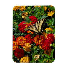 gelber Schwalbenschwanz Schmetterling orange & rot Magnet