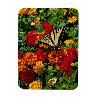 gelber Schwalbenschwanz Schmetterling orange & rot Magnet