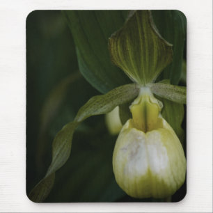 Gelber Slipper 2 Mousepad