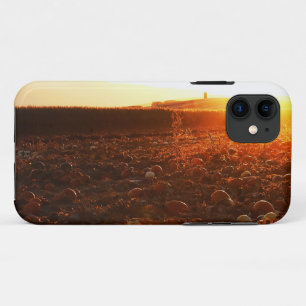 Gelber Sonnenuntergang Kürbisfeld Case-Mate iPhone Hülle