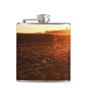 Gelber Sonnenuntergang Kürbisfeld Flachmann