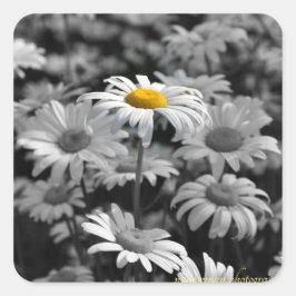 Gelber Tag in einem Meer von schwarz-weißen Molsen Quadratischer Aufkleber