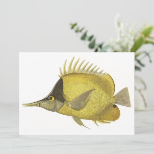 Gelber Tropischer Chelmon Longirostris, Vintage Fi