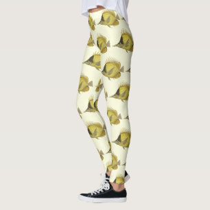 Gelber tropischer Chelmon Longirostris, Vintager F Leggings
