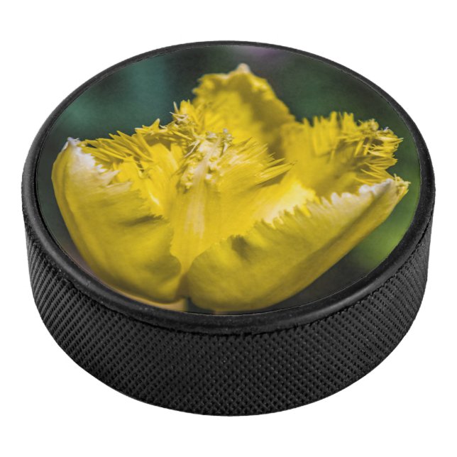 Gelber Tulip Eishockey Puck (3/4)