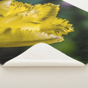 Gelber Tulip Sherpadecke
