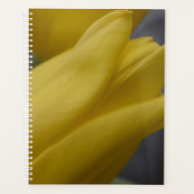 Gelber Tulpen-Blumenplaner – Blumenfotografie