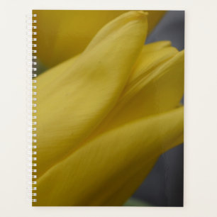 Gelber Tulpen-Blumenplaner – Blumenfotografie Planer