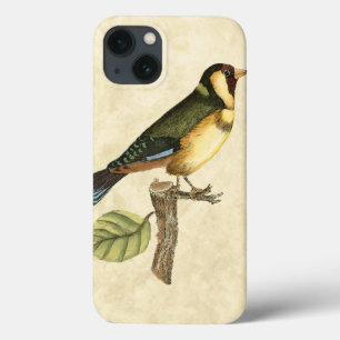 Gelber und grüner Vogel gehockt auf einer kleinen Case-Mate iPhone Hülle