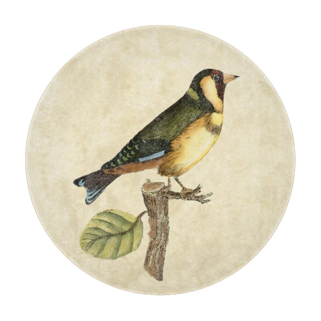 Gelber und grüner Vogel gehockt auf einer kleinen Schneidebrett (Vorderseite)